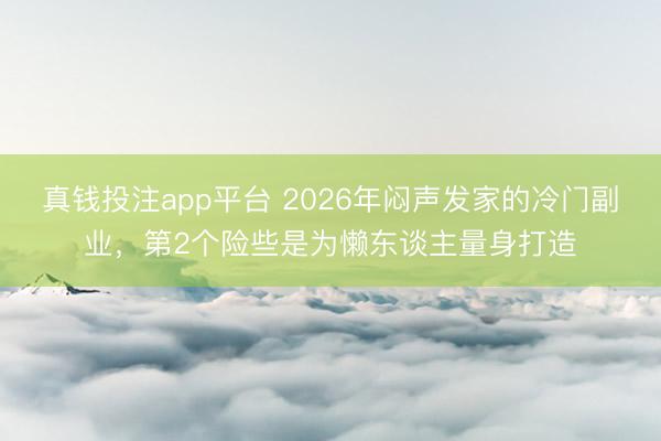 真钱投注app平台 2026年闷声发家的冷门副业,第2个险些是为懒东谈主量身打造