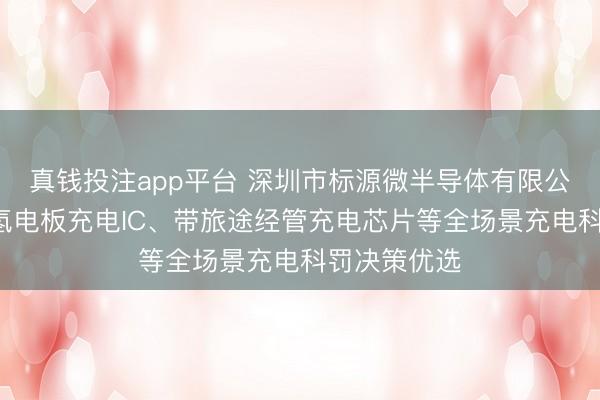 真钱投注app平台 深圳市标源微半导体有限公司:4节镍氢电板充电IC、带旅途经管充电芯片等全场景充电科罚决策优选