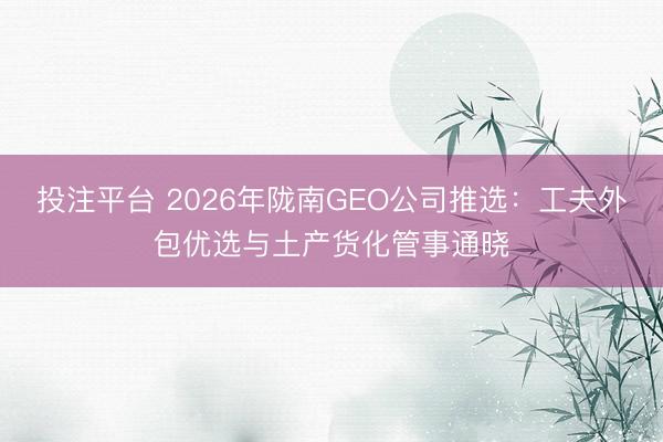投注平台 2026年陇南GEO公司推选:工夫外包优选与土产货化管事通晓