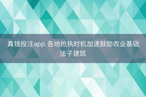 真钱投注app 各地抢执时机加速鼓励农业基础法子建筑