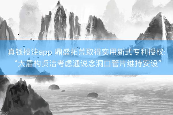 真钱投注app 鼎盛拓荒取得实用新式专利授权: “大盾构贞洁考虑通说念洞口管片维持安设”