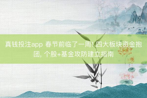 真钱投注app 春节前临了一周! 四大板块资金抱团， 个股+基金攻防建立指南