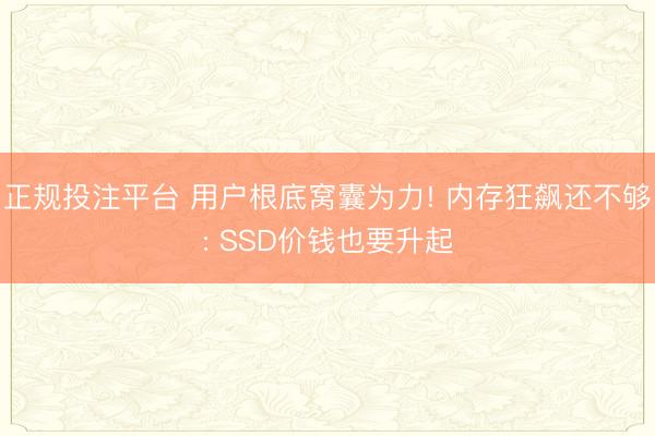 正规投注平台 用户根底窝囊为力! 内存狂飙还不够: SSD价钱也要升起
