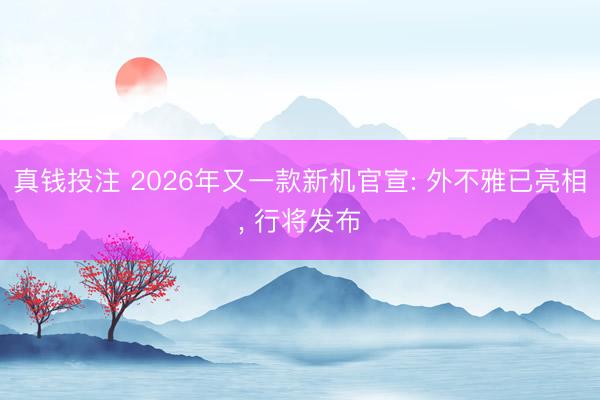 真钱投注 2026年又一款新机官宣: 外不雅已亮相, 行将发布