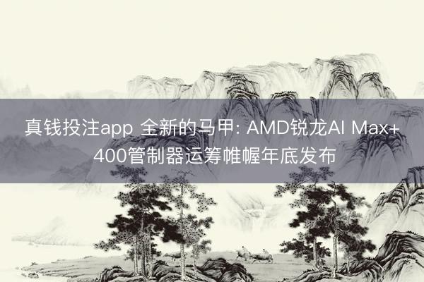 真钱投注app 全新的马甲: AMD锐龙AI Max+ 400管制器运筹帷幄年底发布