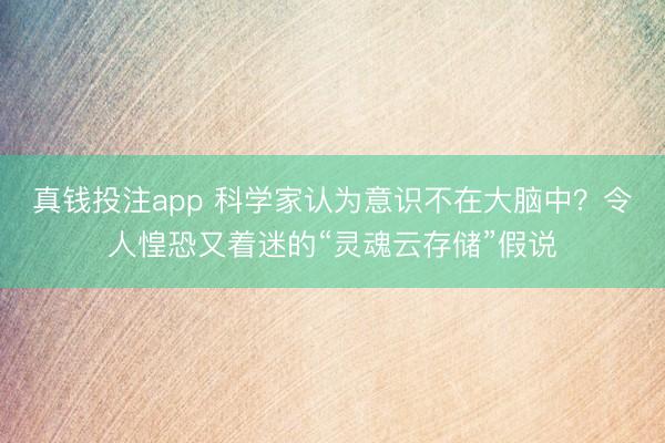 真钱投注app 科学家认为意识不在大脑中？令人惶恐又着迷的“灵魂云存储”假说