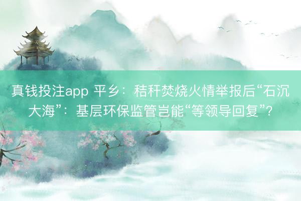 真钱投注app 平乡：秸秆焚烧火情举报后“石沉大海”：基层环保监管岂能“等领导回复”？