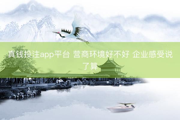 真钱投注app平台 营商环境好不好 企业感受说了算