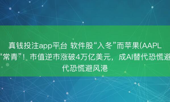 真钱投注app平台 软件股“入冬”而苹果(AAPL.US)“常青”！市值逆市涨破4万亿美元，成AI替代恐慌避风港