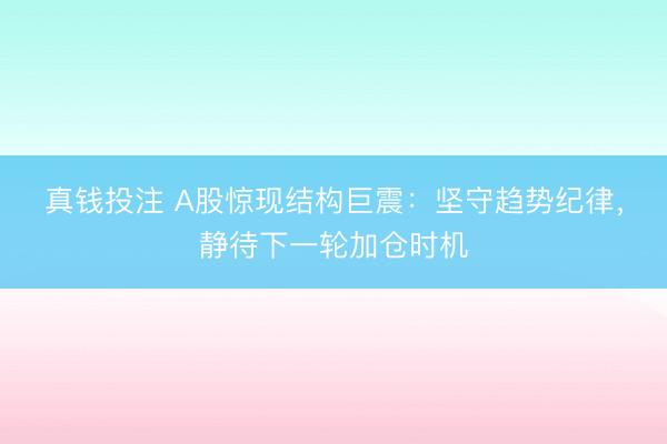 真钱投注 A股惊现结构巨震：坚守趋势纪律，静待下一轮加仓时机