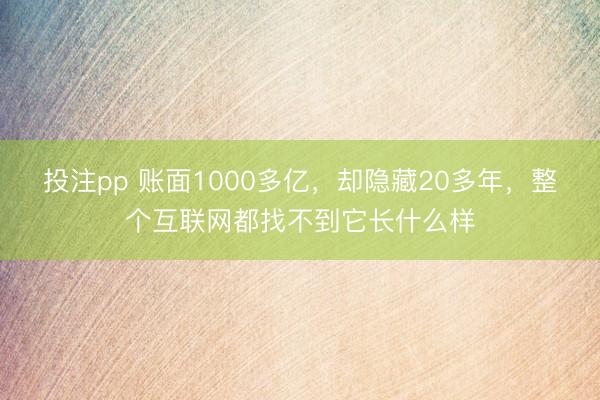 投注pp 账面1000多亿，却隐藏20多年，整个互联网都找不到它长什么样