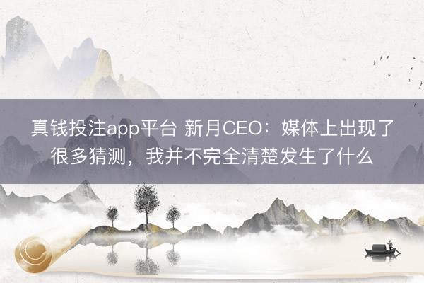 真钱投注app平台 新月CEO：媒体上出现了很多猜测，我并不完全清楚发生了什么
