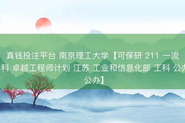 真钱投注平台 南京理工大学【可保研 211 一流学科 卓越工程师计划 江苏 工业和信息化部 工科 公办】