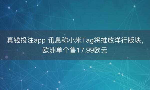 真钱投注app 讯息称小米Tag将推放洋行版块，欧洲单个售17.99欧元