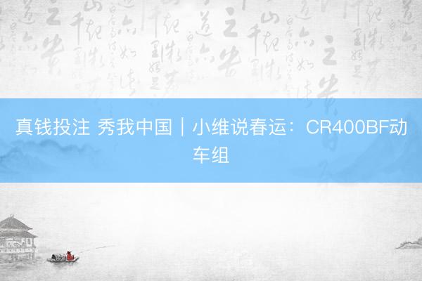 真钱投注 秀我中国｜小维说春运：CR400BF动车组