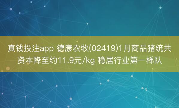 真钱投注app 德康农牧(02419)1月商品猪统共资本降至约11.9元/kg 稳居行业第一梯队