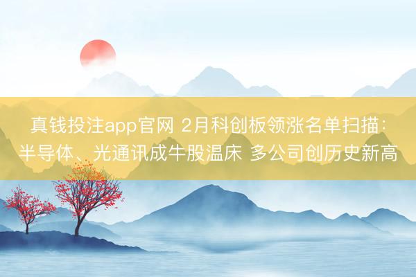 真钱投注app官网 2月科创板领涨名单扫描：半导体、光通讯成牛股温床 多公司创历史新高
