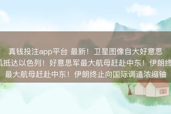 真钱投注app平台 最新!卫星图像自大好意思国11架F-22隐形战机抵达以色列!好意思军最大航母赶赴中东!伊朗终止向国际调遣浓缩铀