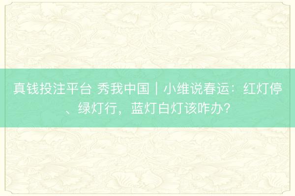 真钱投注平台 秀我中国｜小维说春运：红灯停、绿灯行，蓝灯白灯该咋办？