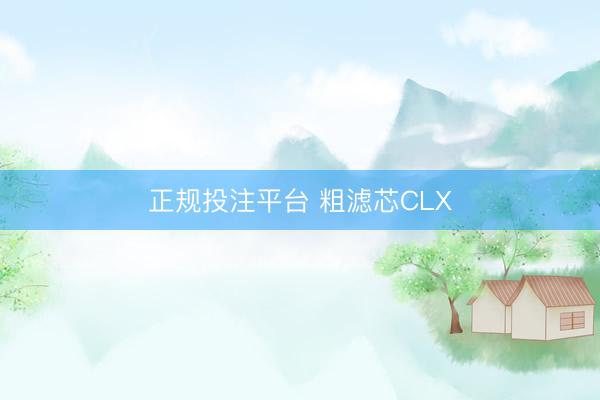 正规投注平台 粗滤芯CLX