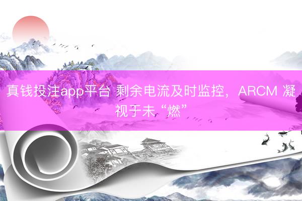 真钱投注app平台 剩余电流及时监控，ARCM 凝视于未 “燃”