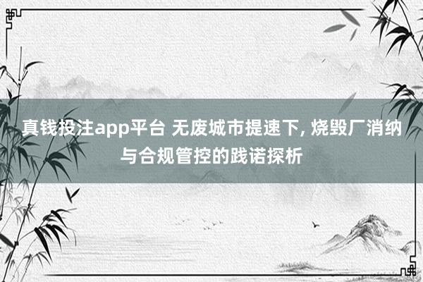 真钱投注app平台 无废城市提速下， 烧毁厂消纳与合规管控的践诺探析