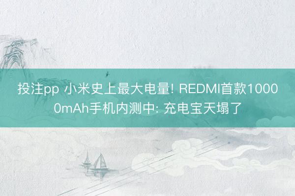 投注pp 小米史上最大电量! REDMI首款10000mAh手机内测中: 充电宝天塌了