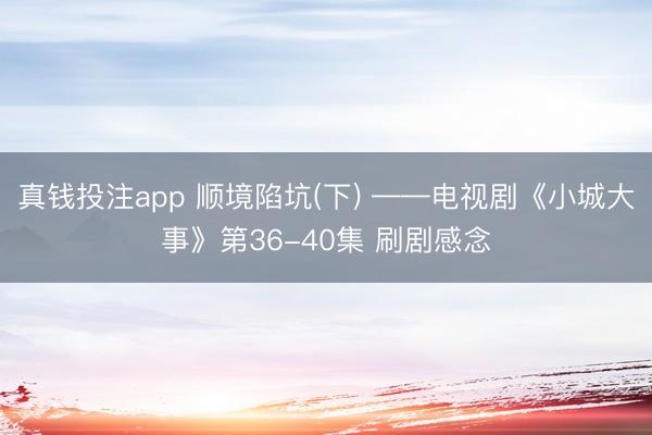 真钱投注app 顺境陷坑(下) ——电视剧《小城大事》第36-40集 刷剧感念