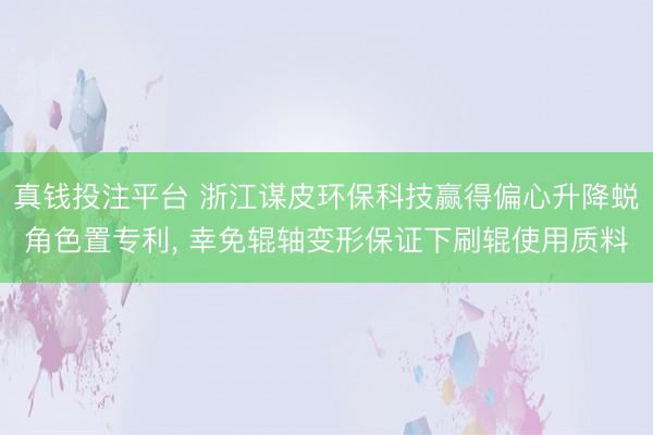 真钱投注平台 浙江谋皮环保科技赢得偏心升降蜕角色置专利, 幸免辊轴变形保证下刷辊使用质料