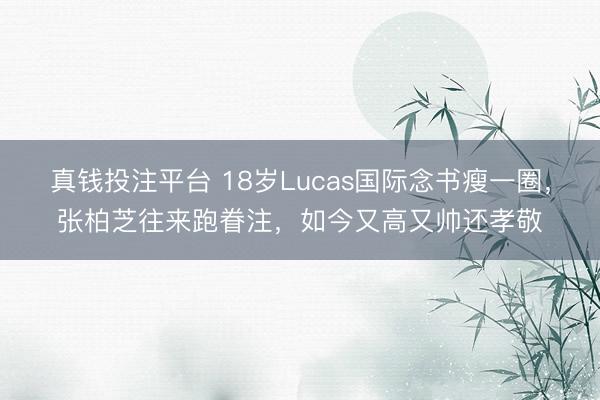 真钱投注平台 18岁Lucas国际念书瘦一圈，张柏芝往来跑眷注，如今又高又帅还孝敬