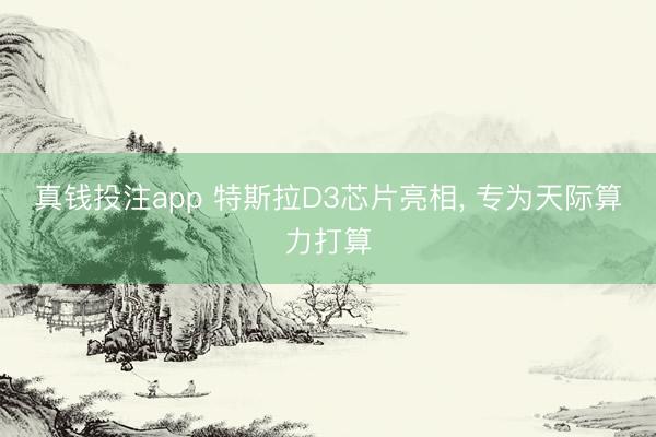 真钱投注app 特斯拉D3芯片亮相， 专为天际算力打算
