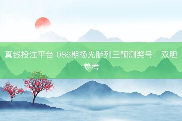 真钱投注平台 086期杨光胪列三预测奖号：双胆参考