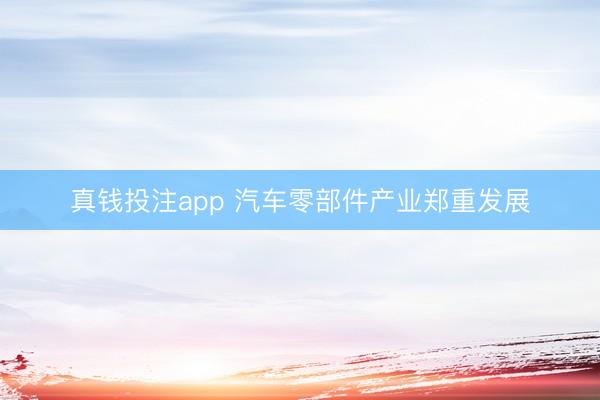 真钱投注app 汽车零部件产业郑重发展