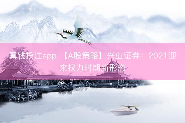 真钱投注app 【A股策略】兴业证券：2021迎来权力时期新形态