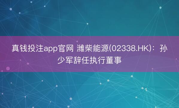 真钱投注app官网 潍柴能源(02338.HK)：孙少军辞任执行董事