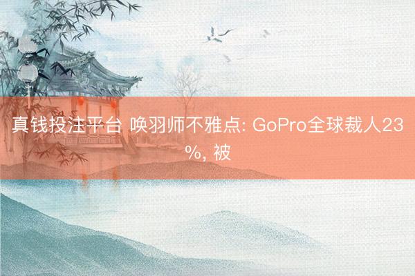 真钱投注平台 唤羽师不雅点: GoPro全球裁人23%, 被