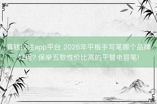 真钱投注app平台 2026年平板手写笔哪个品牌好用? 保举五款性价比高的平替电容笔!