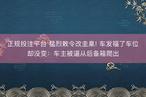 正规投注平台 猛烈敕令改圭臬! 车发福了车位却没变:车主被逼从后备箱爬出