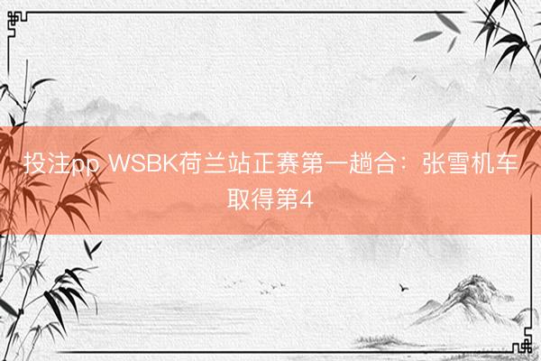 投注pp WSBK荷兰站正赛第一趟合：张雪机车取得第4