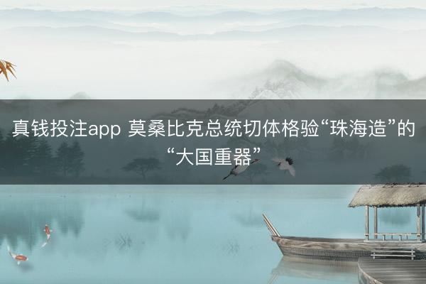 真钱投注app 莫桑比克总统切体格验“珠海造”的“大国重器”