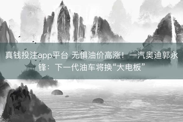 真钱投注app平台 无惧油价高涨！一汽奥迪郭永锋：下一代油车将换“大电板”