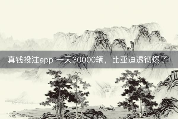 真钱投注app 一天30000辆，比亚迪透彻爆了！