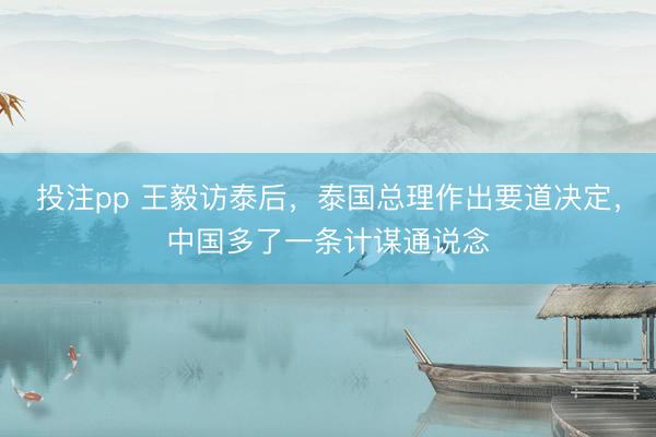 投注pp 王毅访泰后，泰国总理作出要道决定，中国多了一条计谋通说念