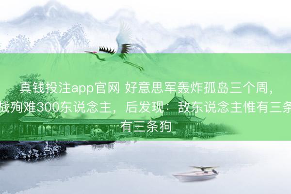 真钱投注app官网 好意思军轰炸孤岛三个周，激战殉难300东说念主，后发现：敌东说念主惟有三条狗
