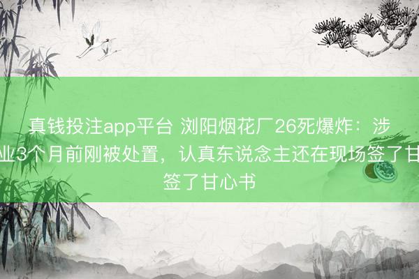 真钱投注app平台 浏阳烟花厂26死爆炸：涉事企业3个月前刚被处置，<a href=
