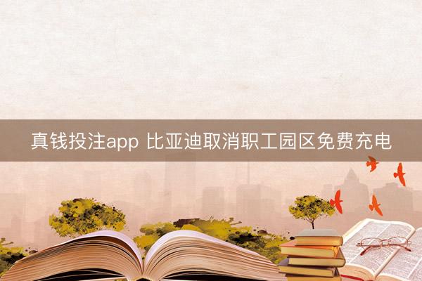 真钱投注app 比亚迪取消职工园区免费充电