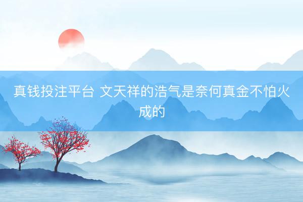真钱投注平台 文天祥的浩气是奈何真金不怕火成的