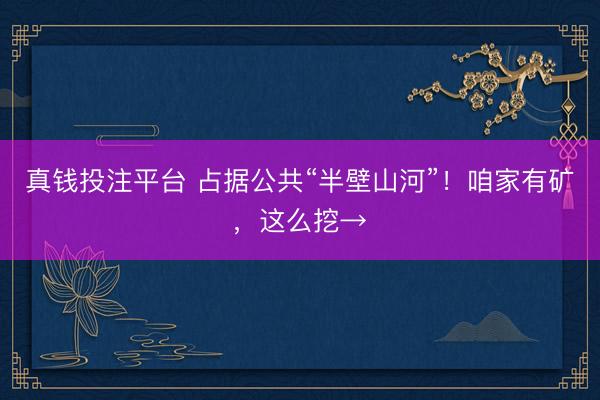真钱投注平台 占据公共“半壁山河”！咱家有矿，这么挖→