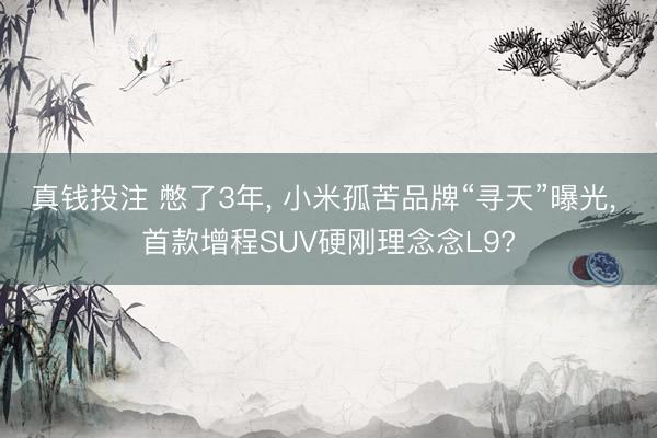 真钱投注 憋了3年， 小米孤苦品牌“寻天”曝光， 首款增程SUV硬刚理念念L9?