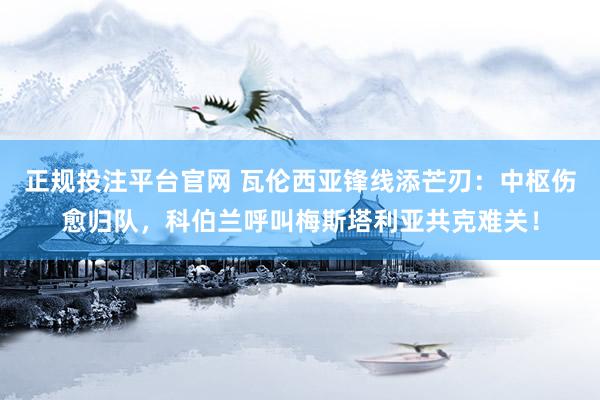 正规投注平台官网 瓦伦西亚锋线添芒刃:中枢伤愈归队,科伯兰呼叫梅斯塔利亚共克难关!